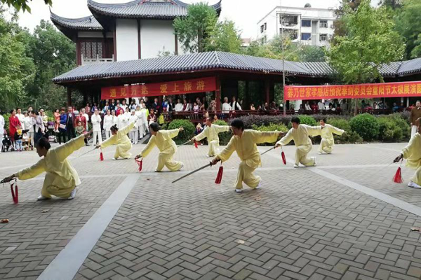 孝感举办欢庆“重阳节”太极展演活动