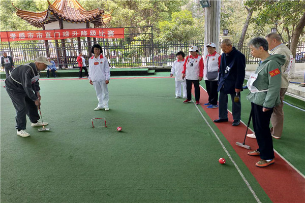 2019年孝感市直门球升降级赛（甲级）落幕